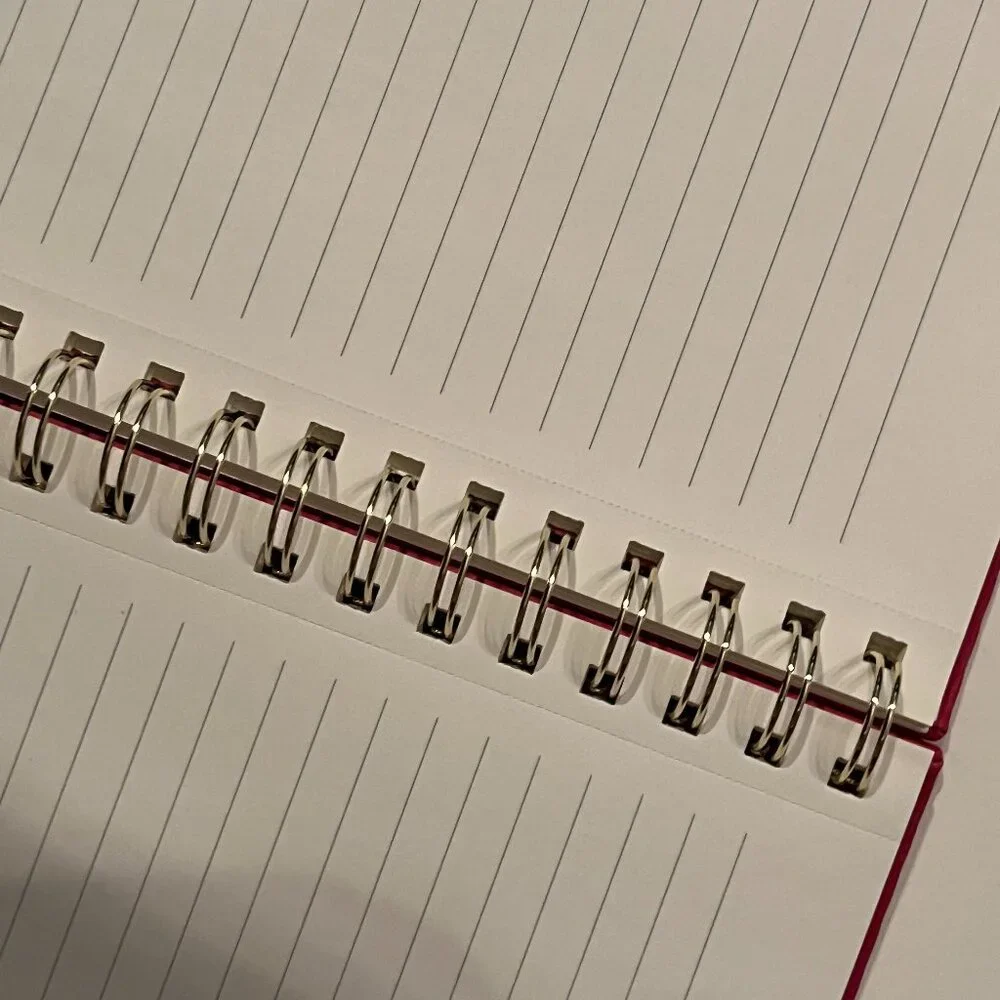 Lined Writing Journal Have a Good Day / Do Not Spoil it for Others (TWO) (new)